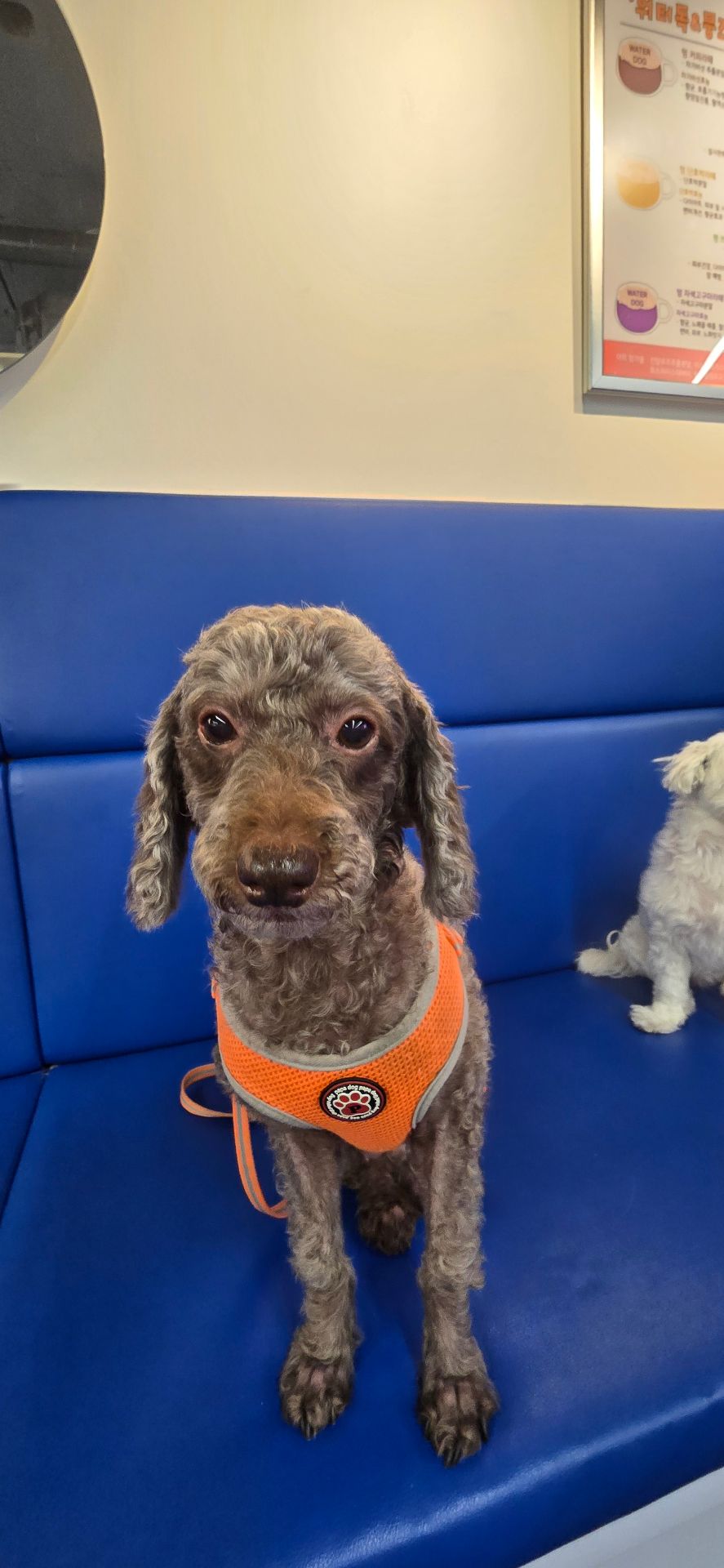 유라의 프로필 사진