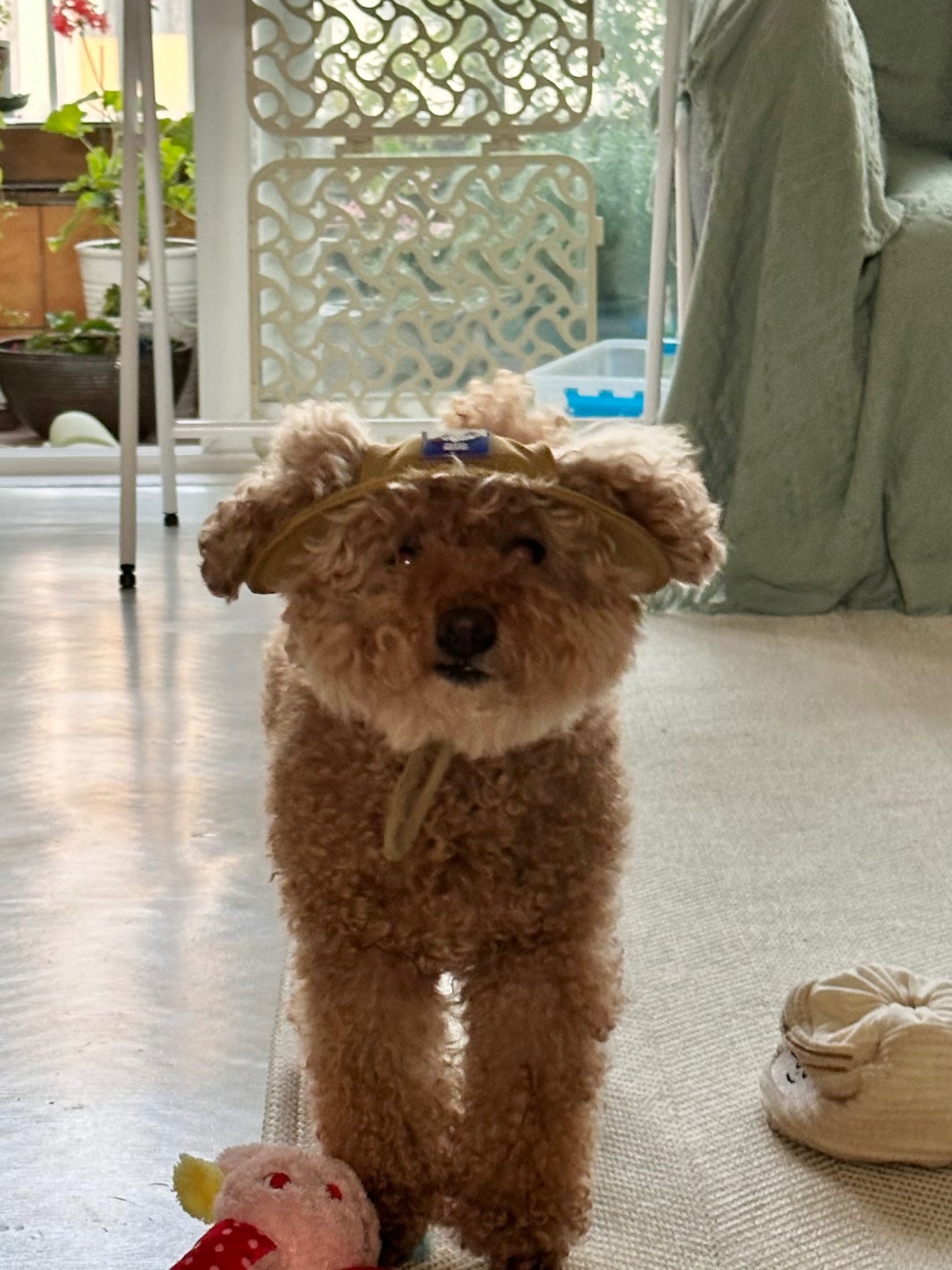 봄이의 프로필 사진