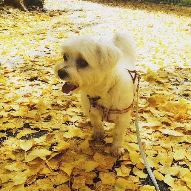 몽의 프로필 사진