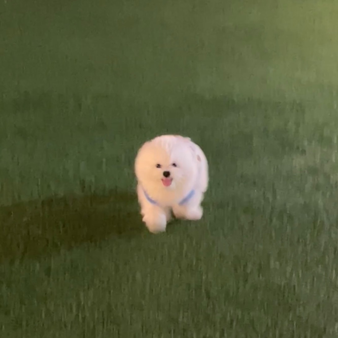 젤리의 프로필 사진 2