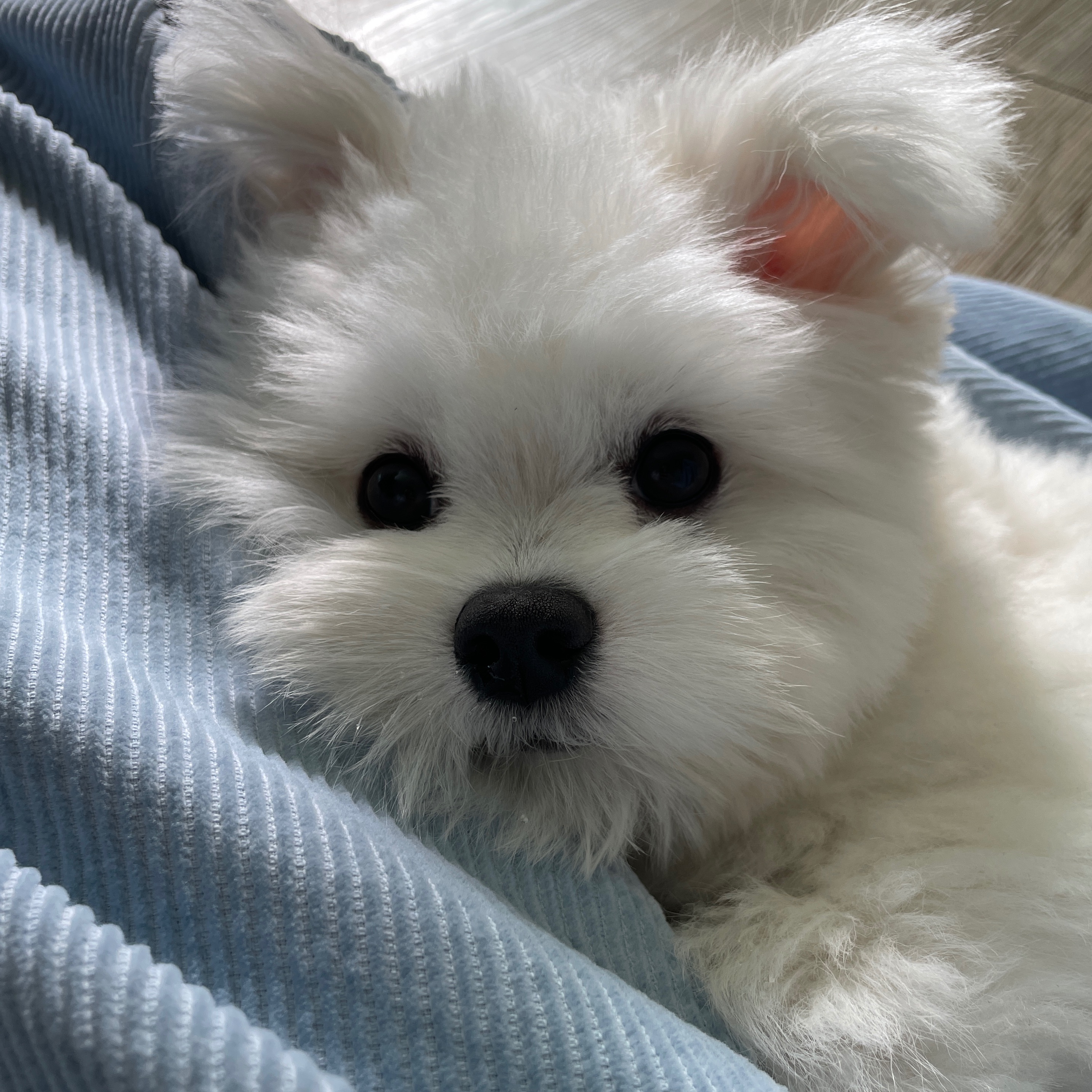 젤리의 프로필 사진 3