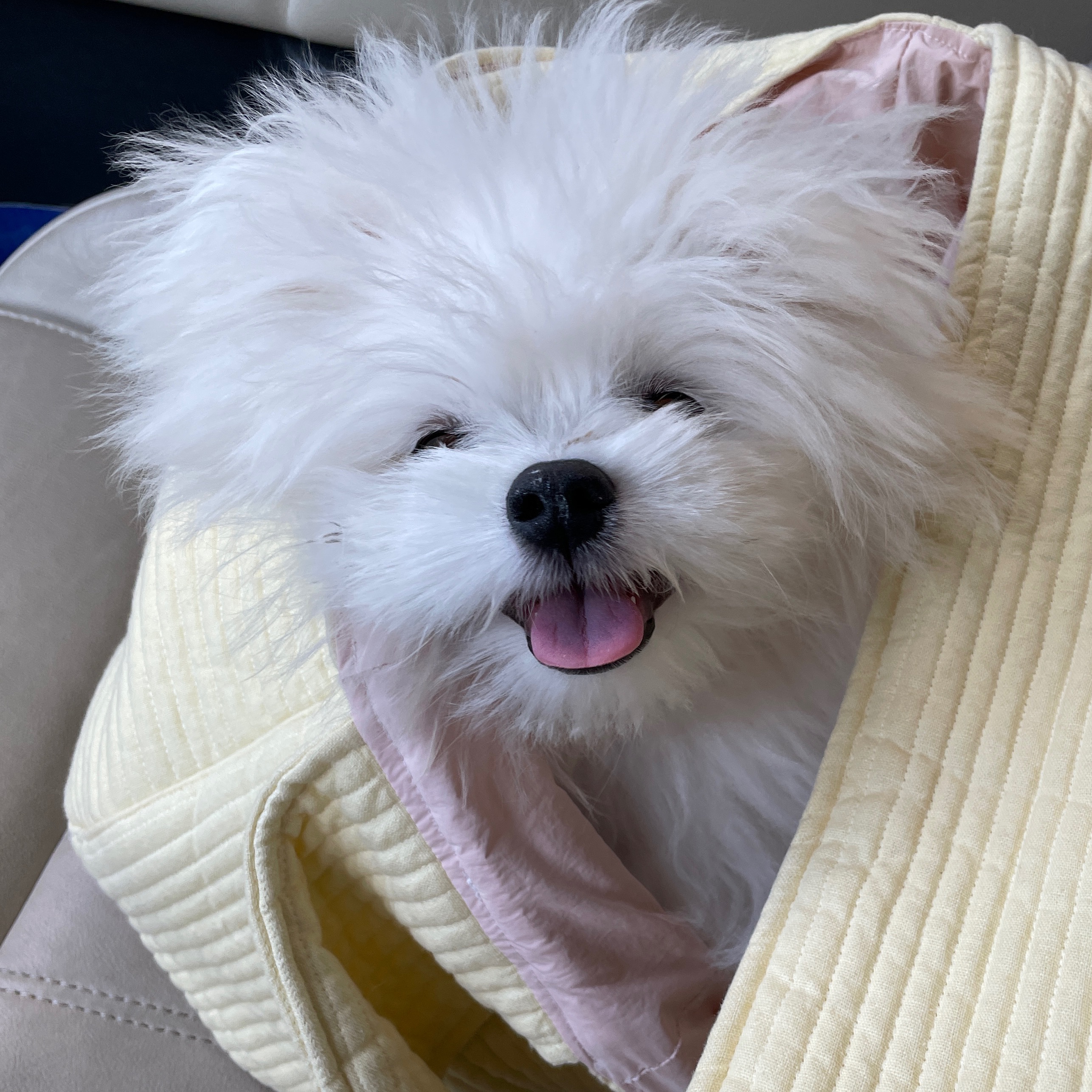 젤리의 프로필 사진 4