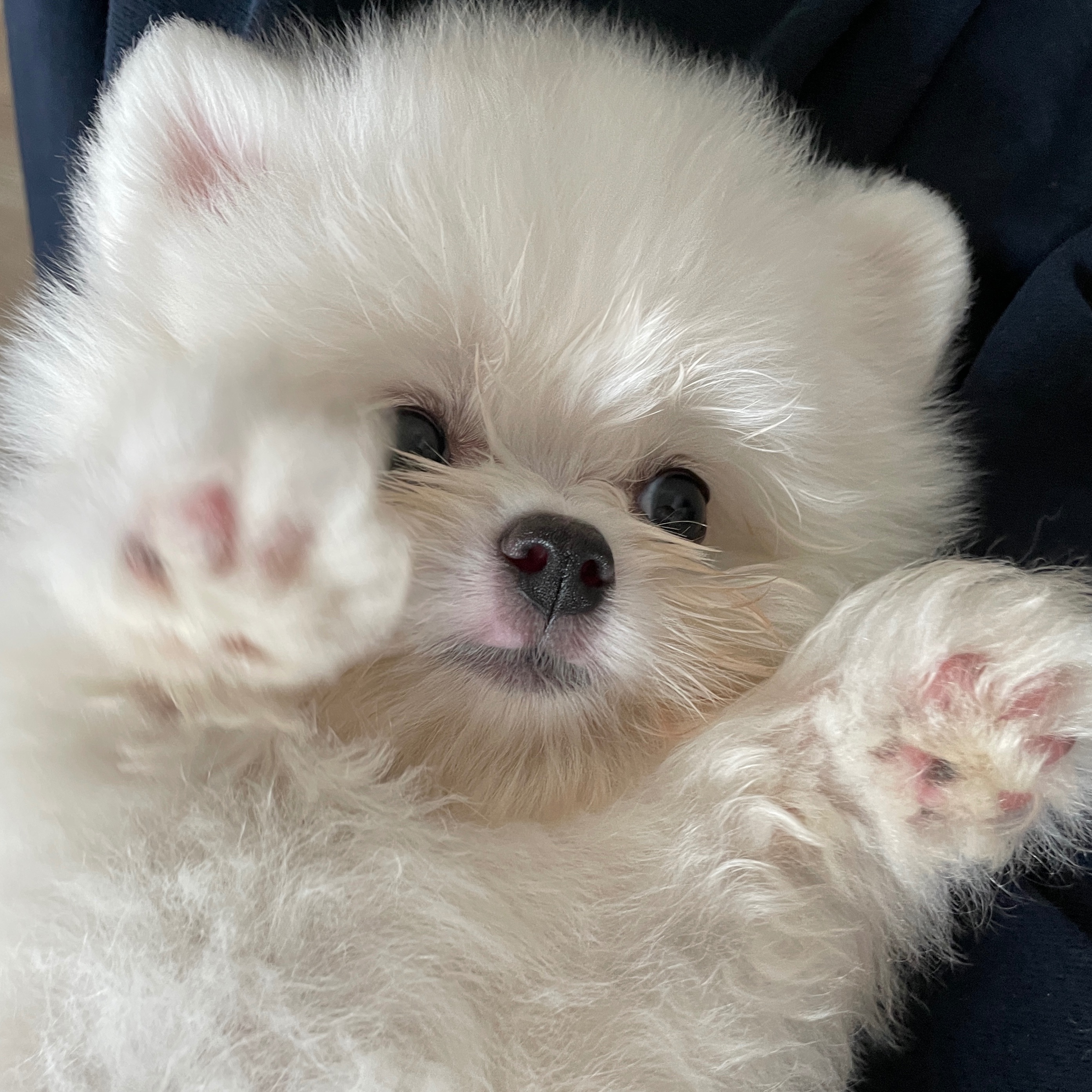 젤리의 프로필 사진 5