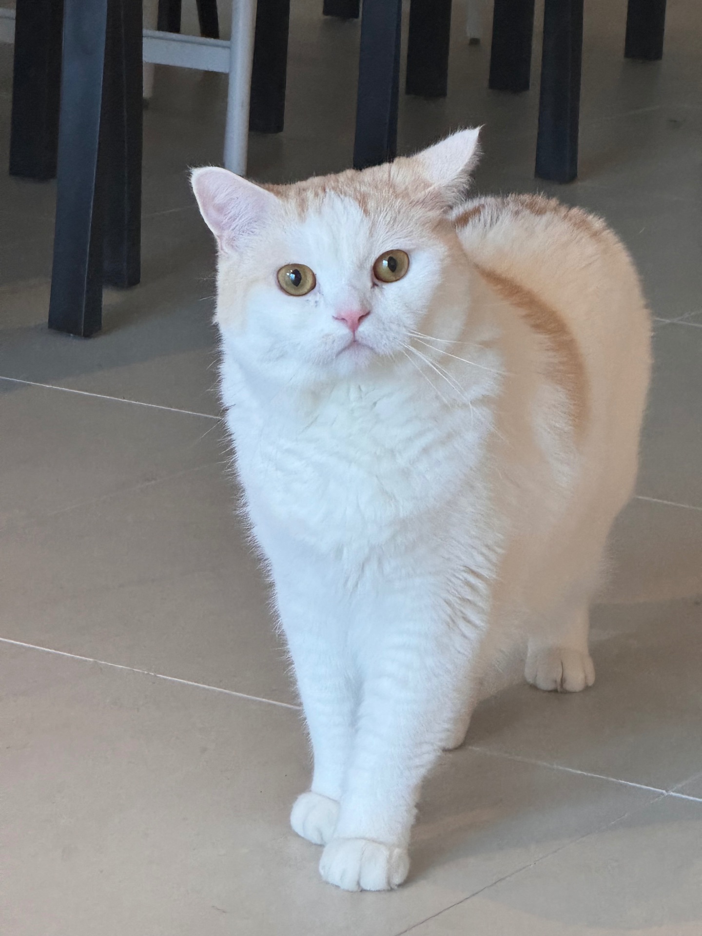 모찌의 프로필 사진