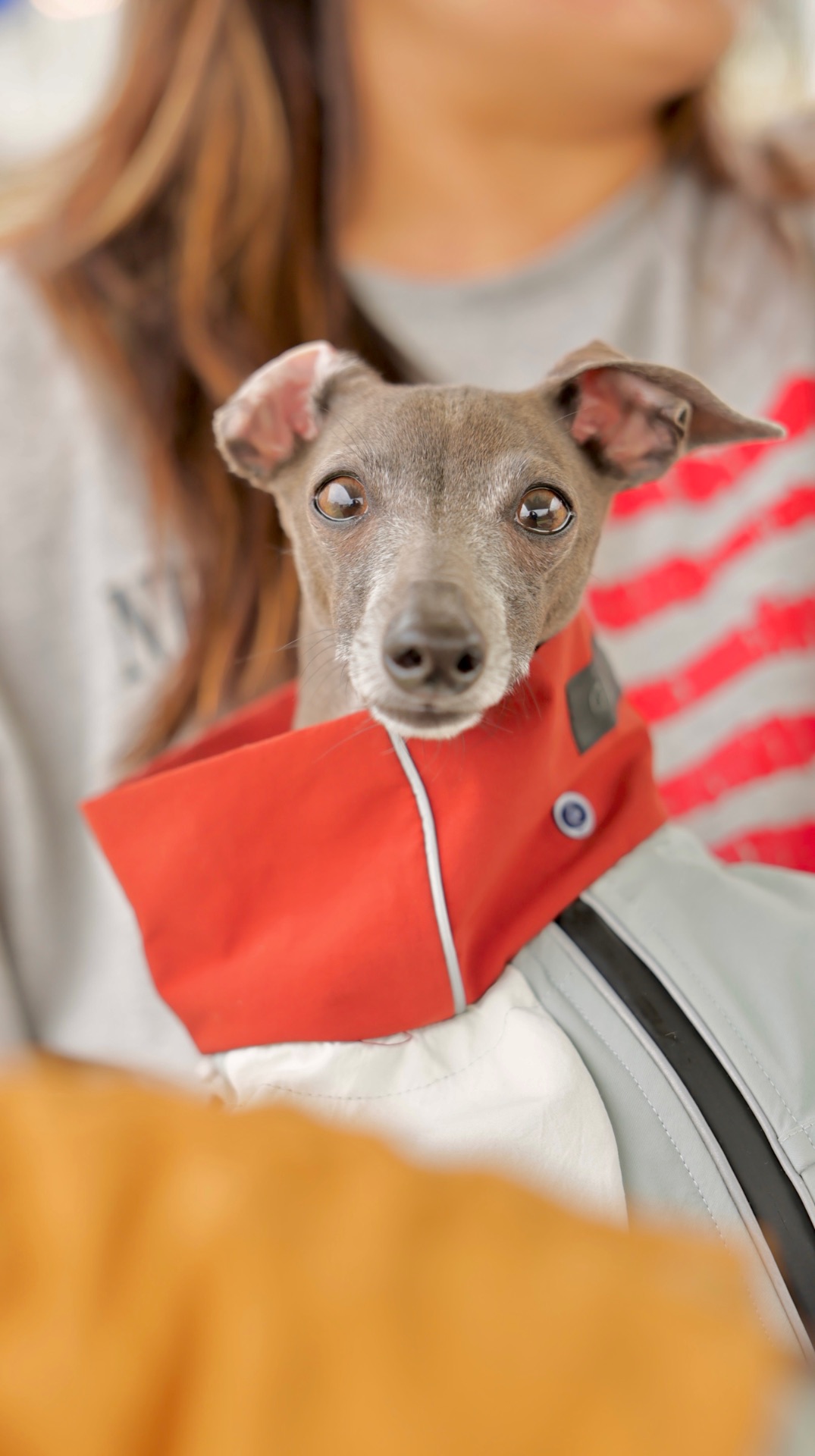 김라온의 프로필 사진