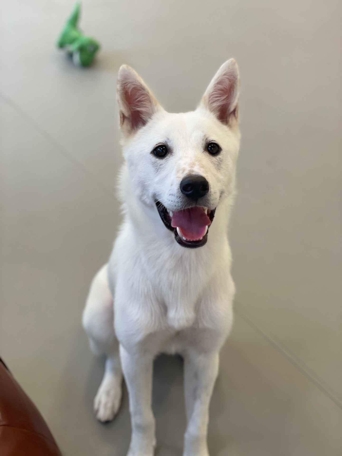 백양의 프로필 사진