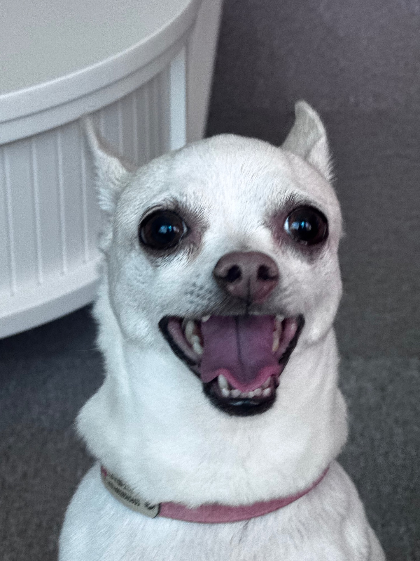 조뿌꾸의 프로필 사진