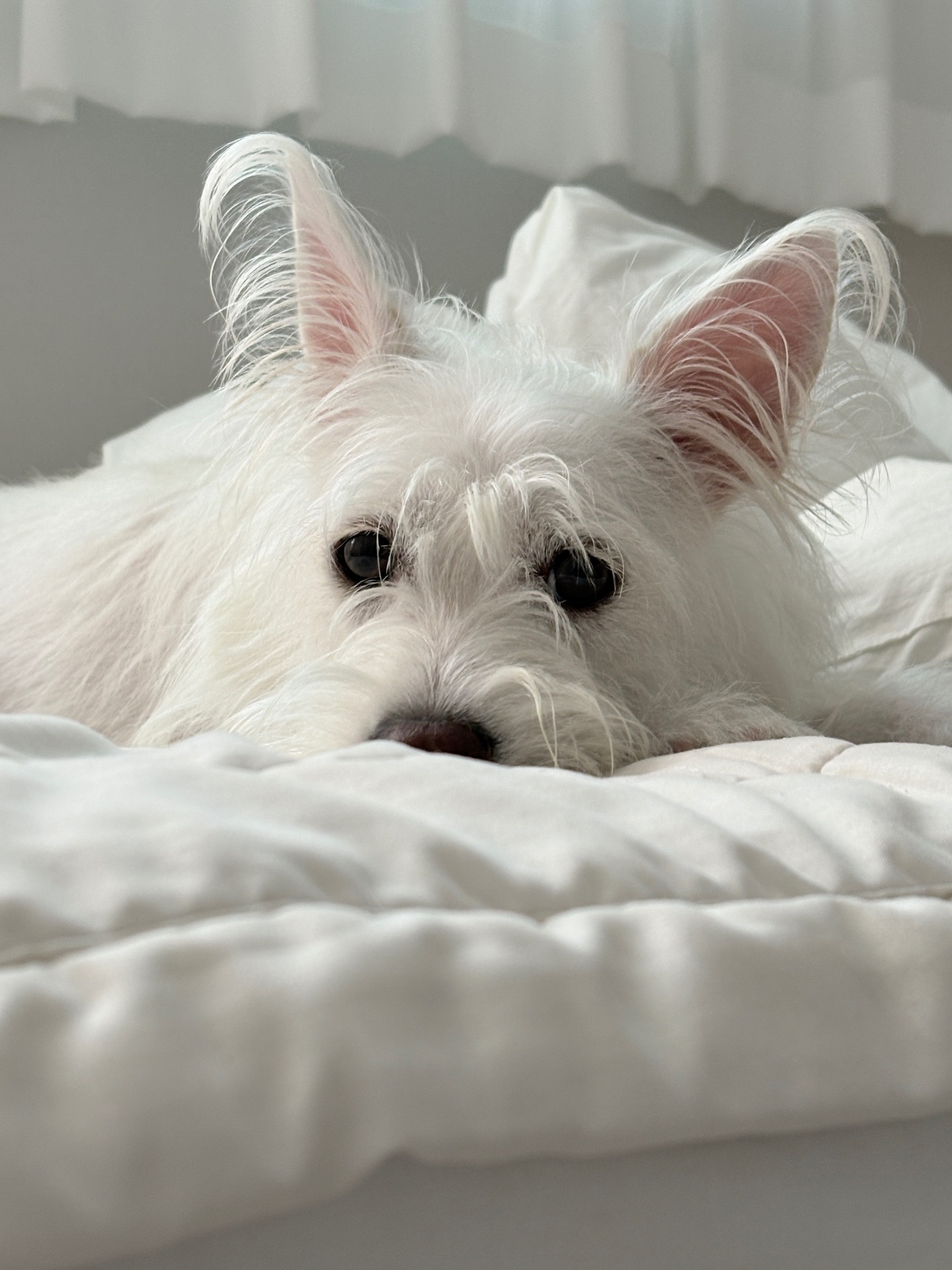 정오트의 프로필 사진