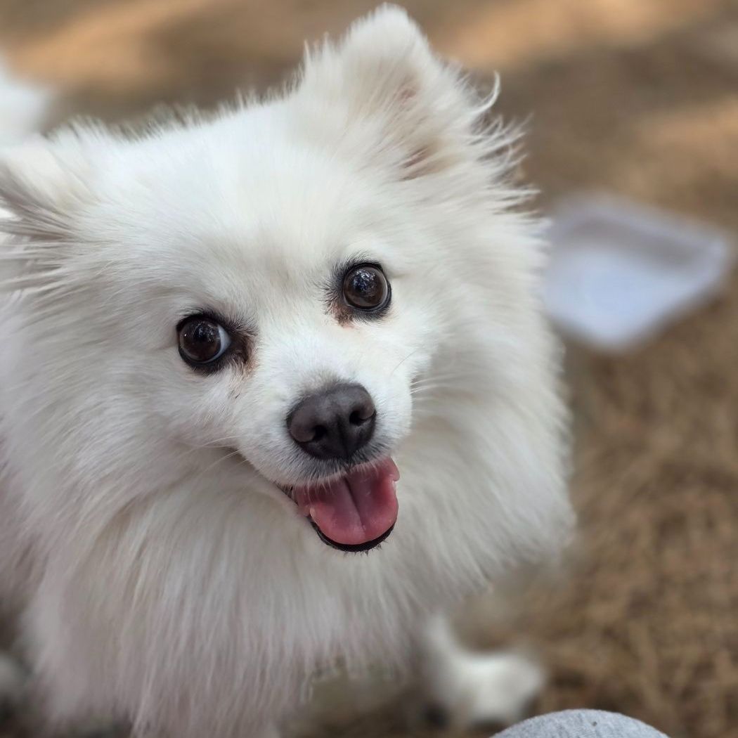 루의 프로필 사진 1