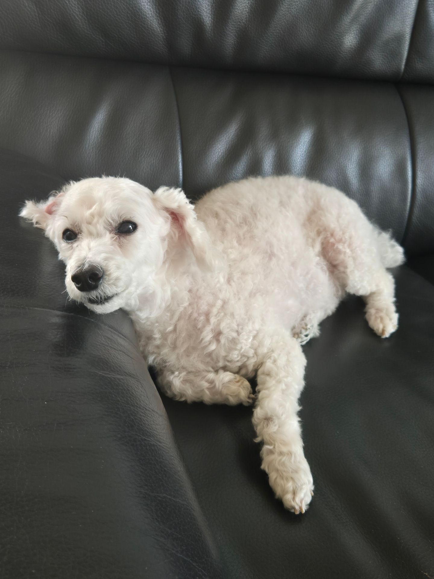 짱이의 프로필 사진