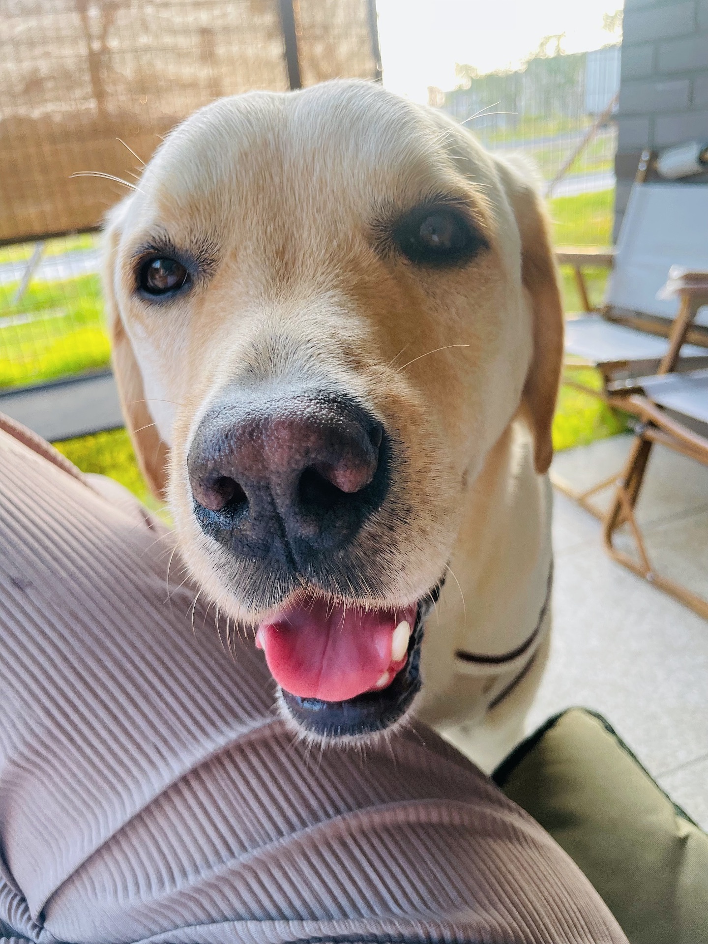 봉구의 프로필 사진