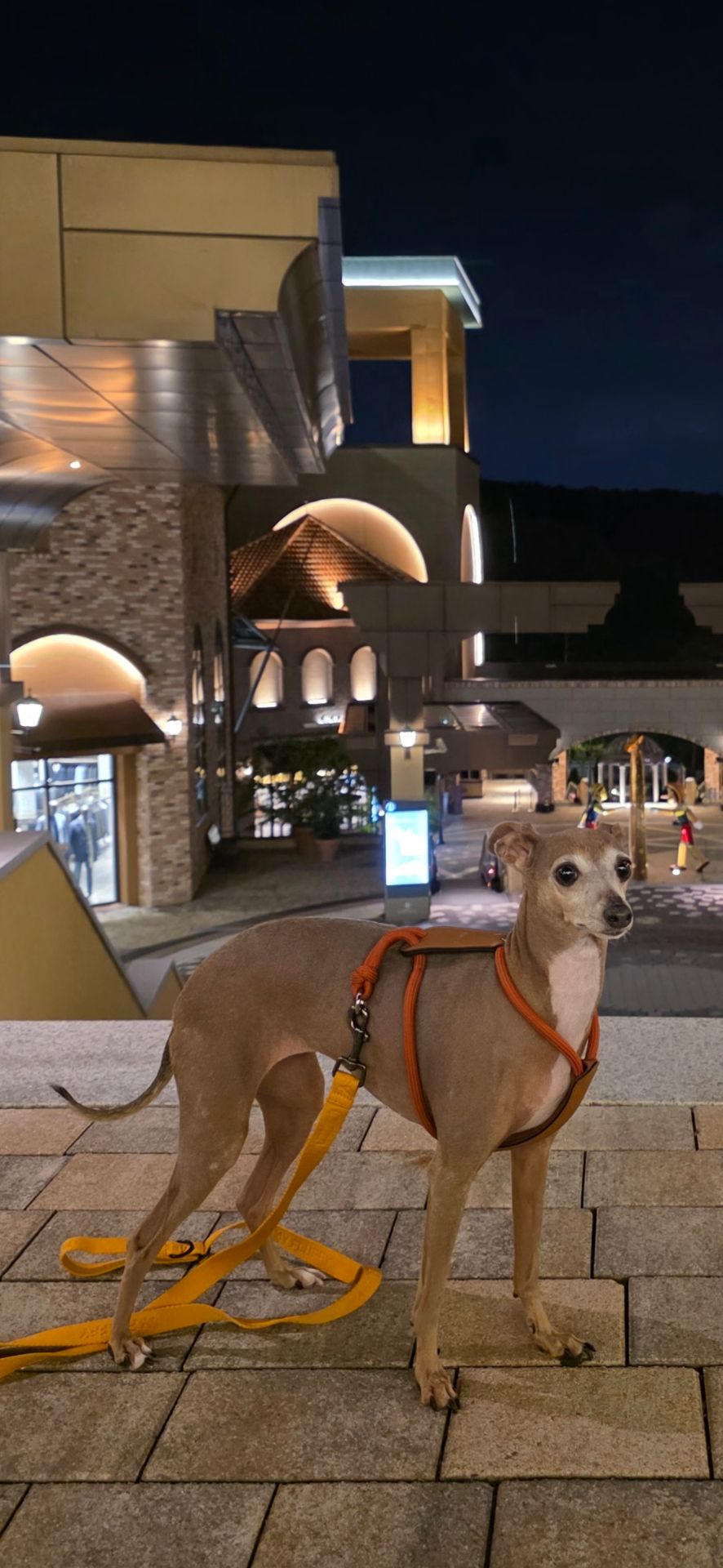 복길이의 프로필 사진