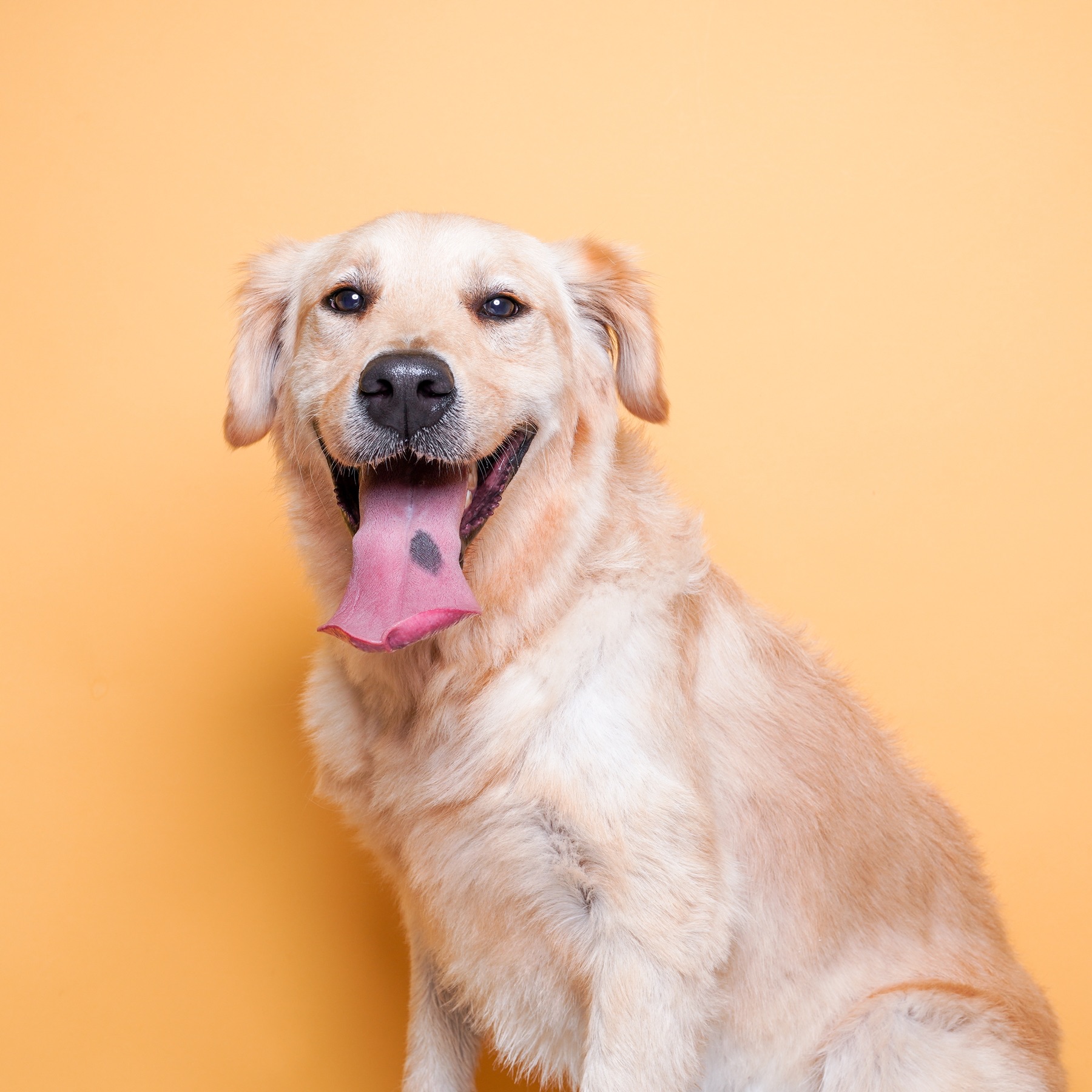 이다의 프로필 사진