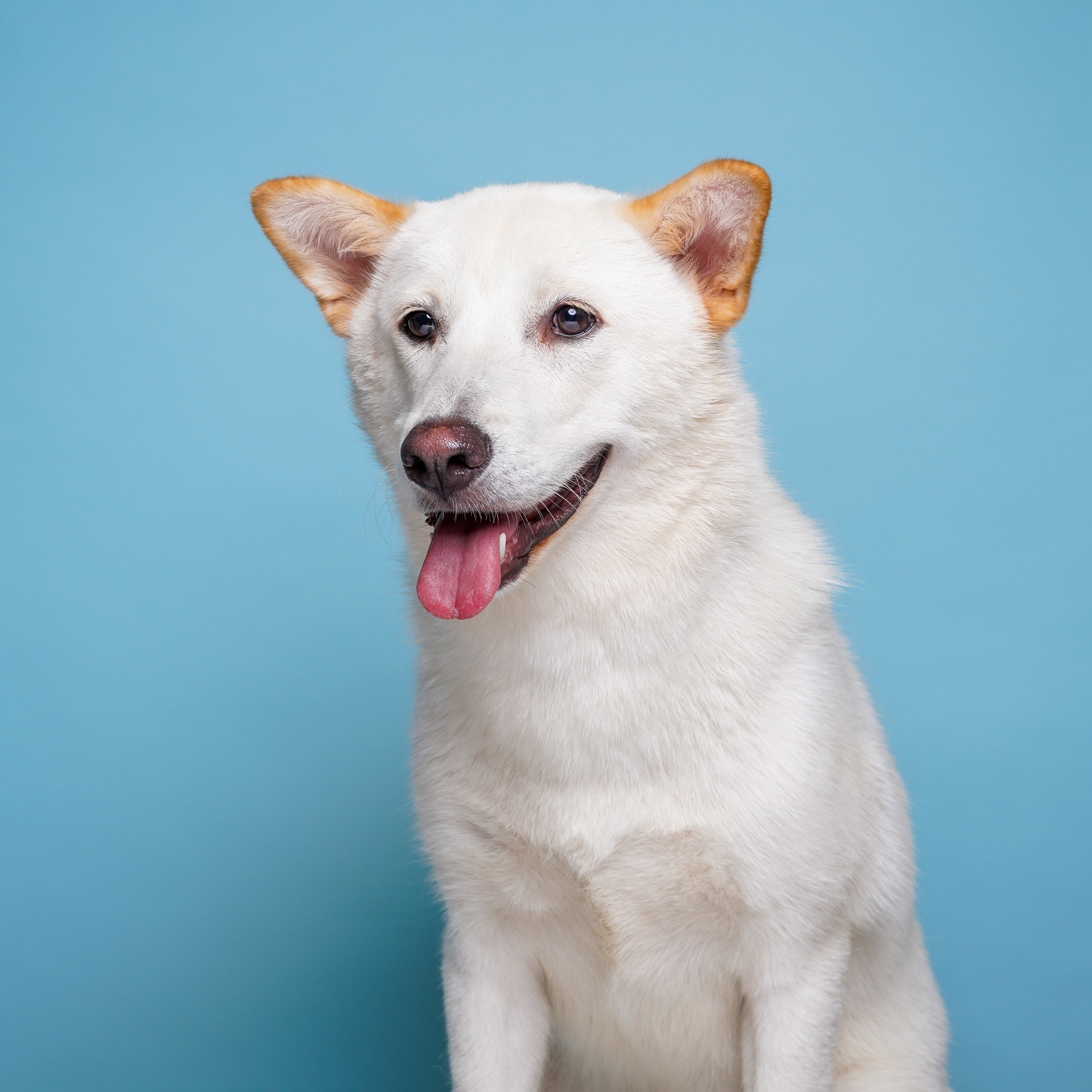이지의 프로필 사진