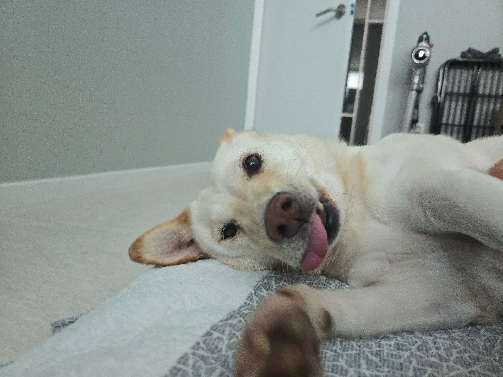 퐁당의 프로필 사진