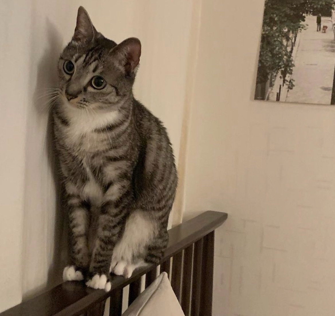 뤼팽의 프로필 사진