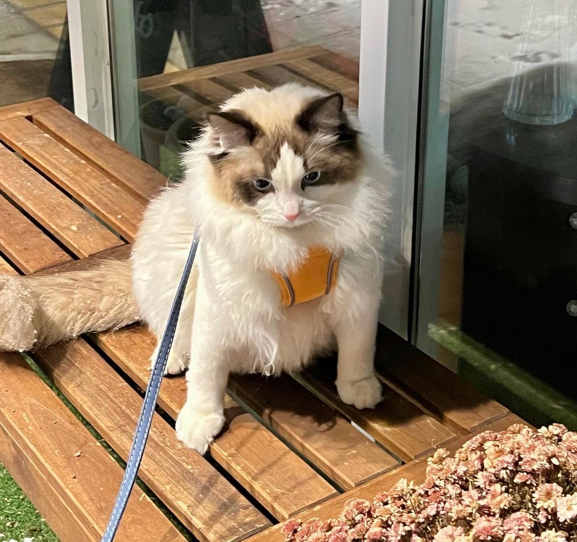 블루의 프로필 사진