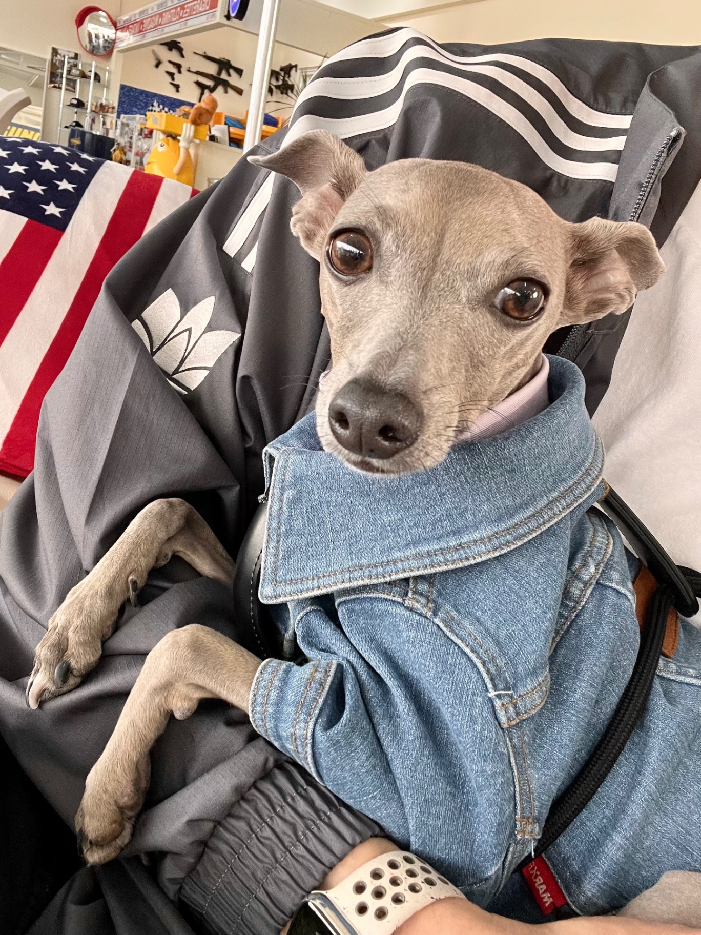 후추의 프로필 사진 1