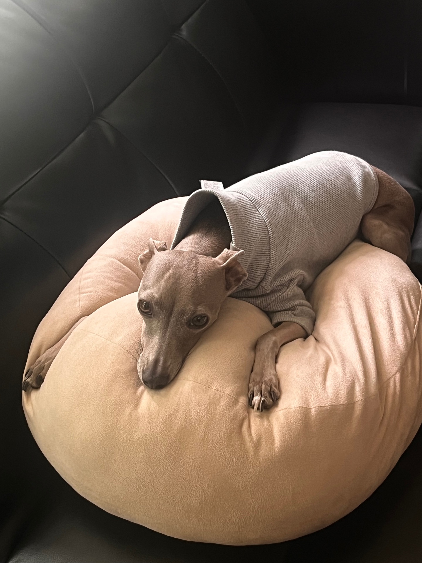 소금🧂의 프로필 사진