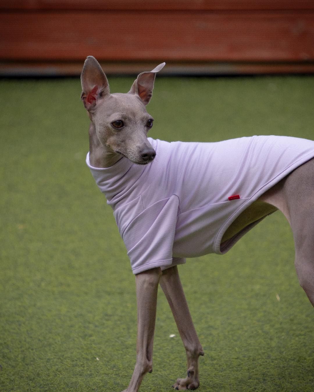 후추의 프로필 사진 8