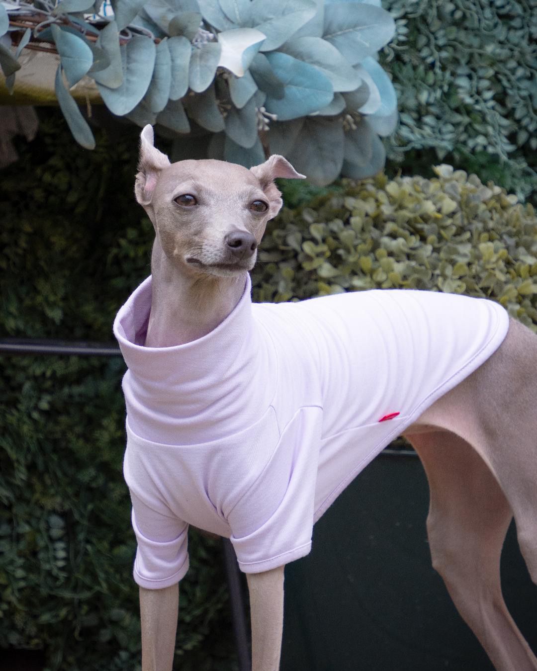 후추의 프로필 사진 3