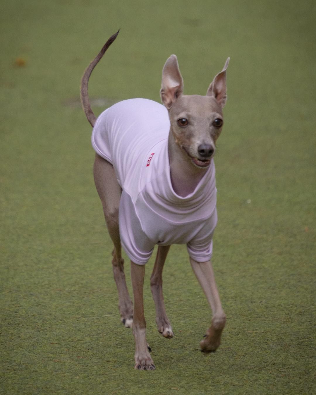 후추의 프로필 사진 5