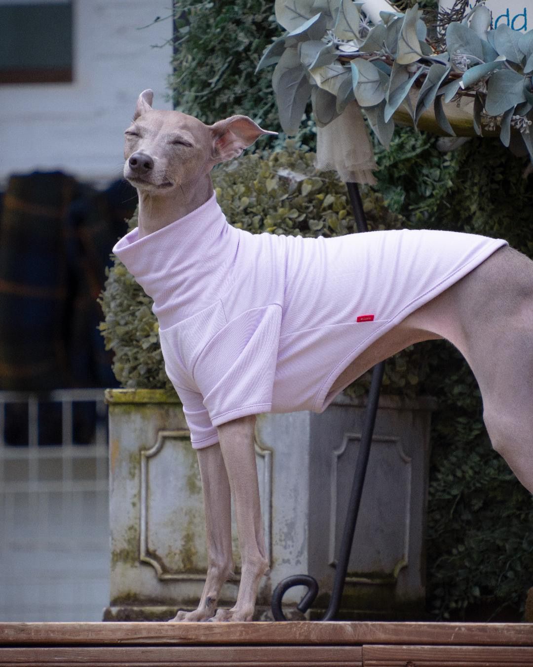 후추의 프로필 사진 2