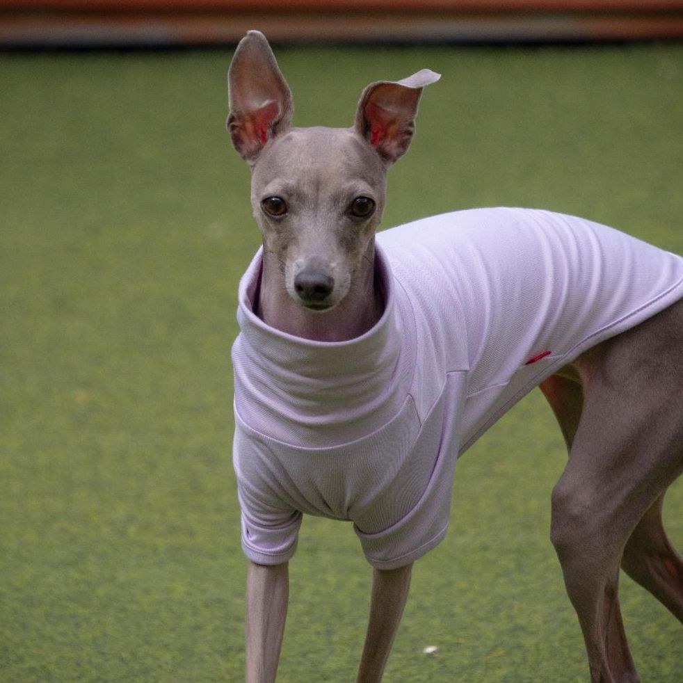 후추의 프로필 사진 7