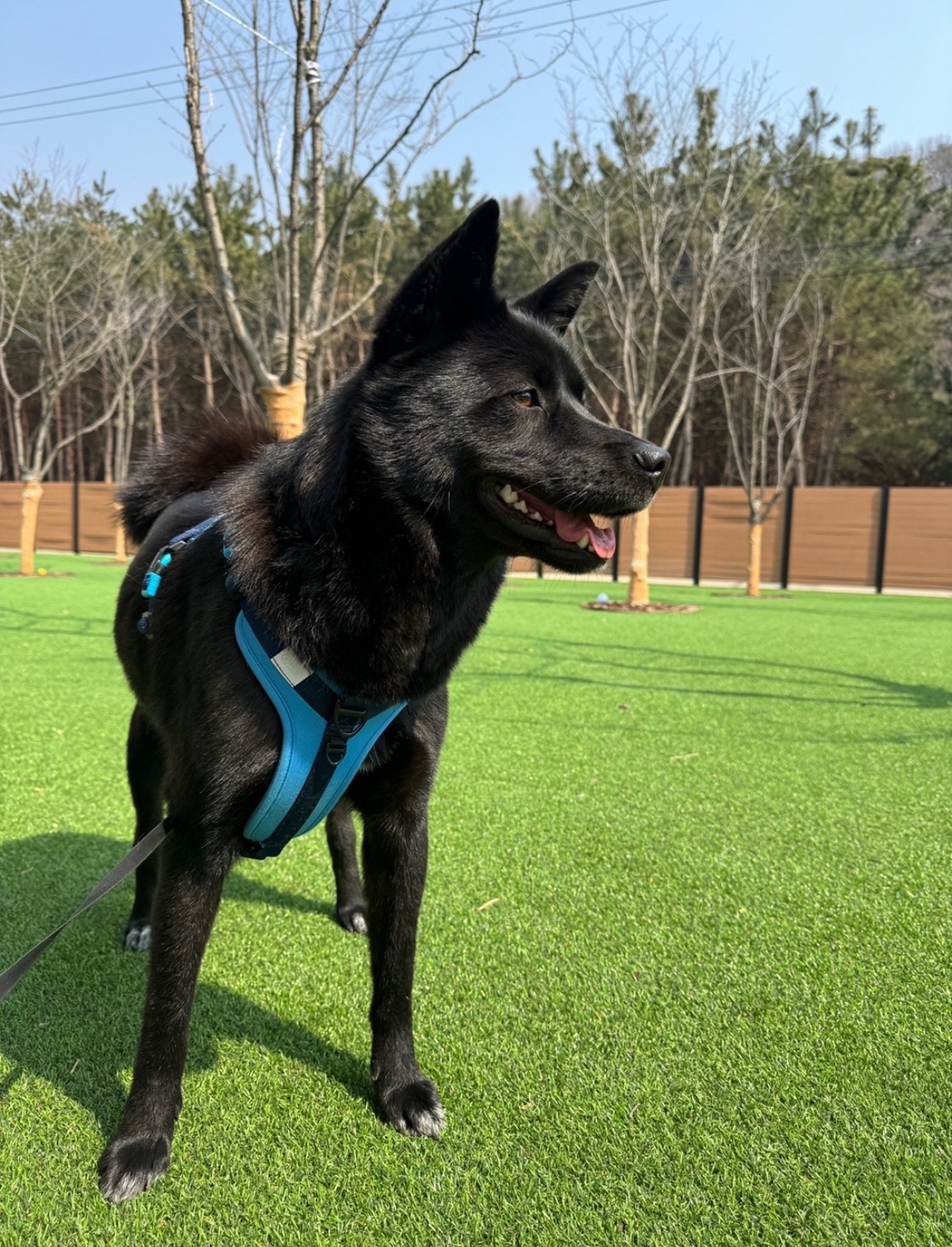 밤이의 프로필 사진