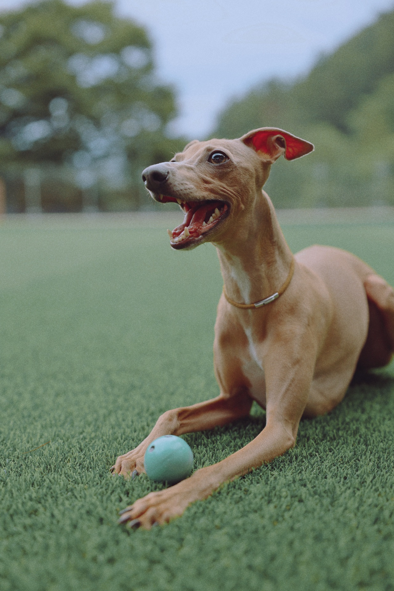 문무무의 프로필 사진