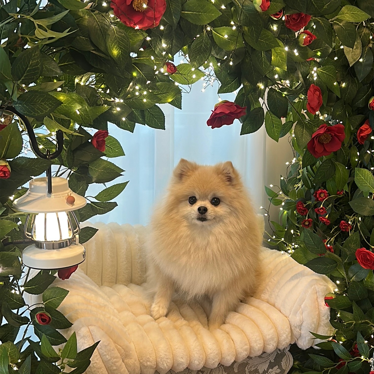 발탄의 프로필 사진 1