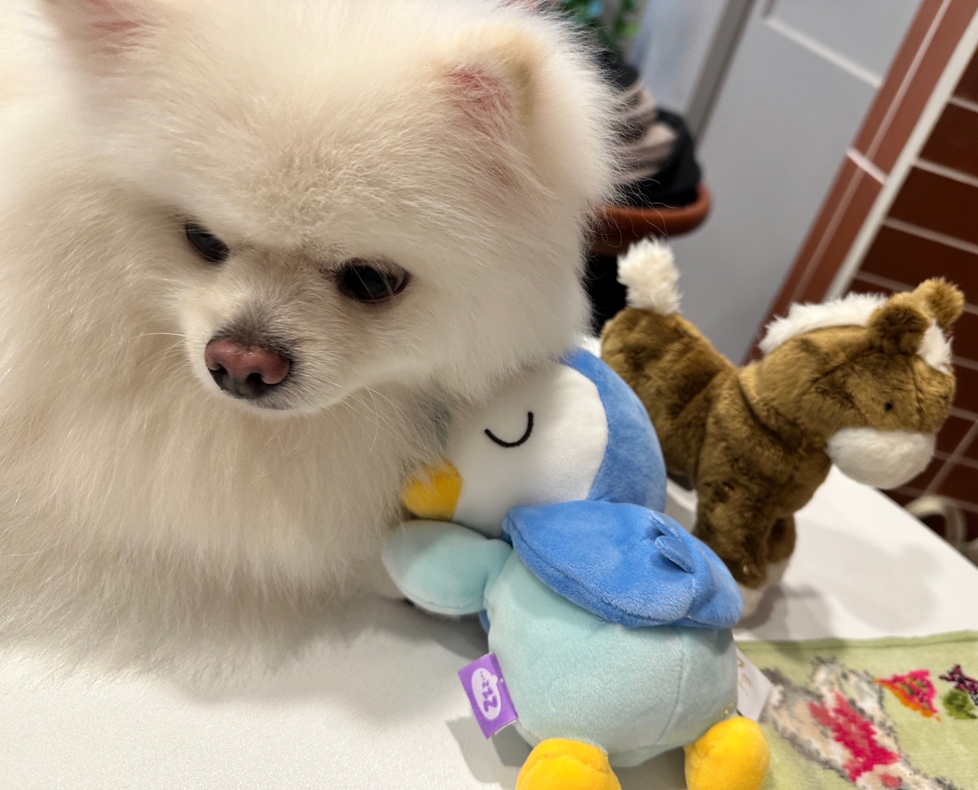 히로의 프로필 사진