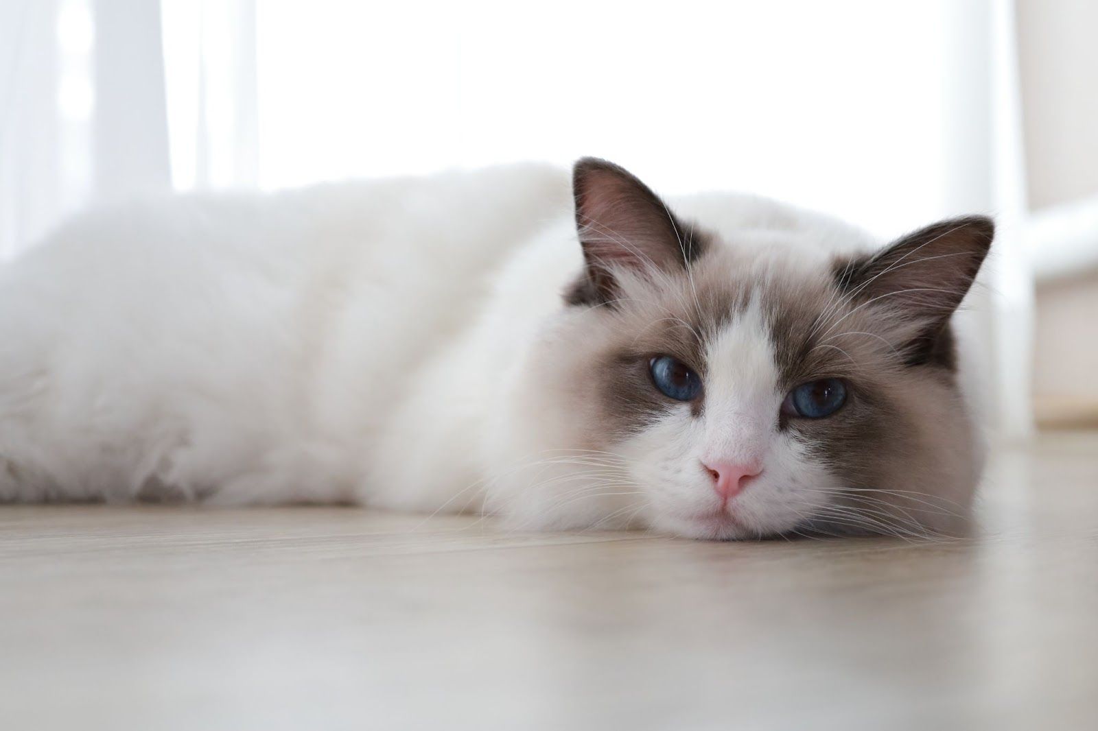 aaa의 프로필 사진