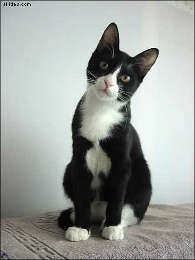 bbb의 프로필 사진