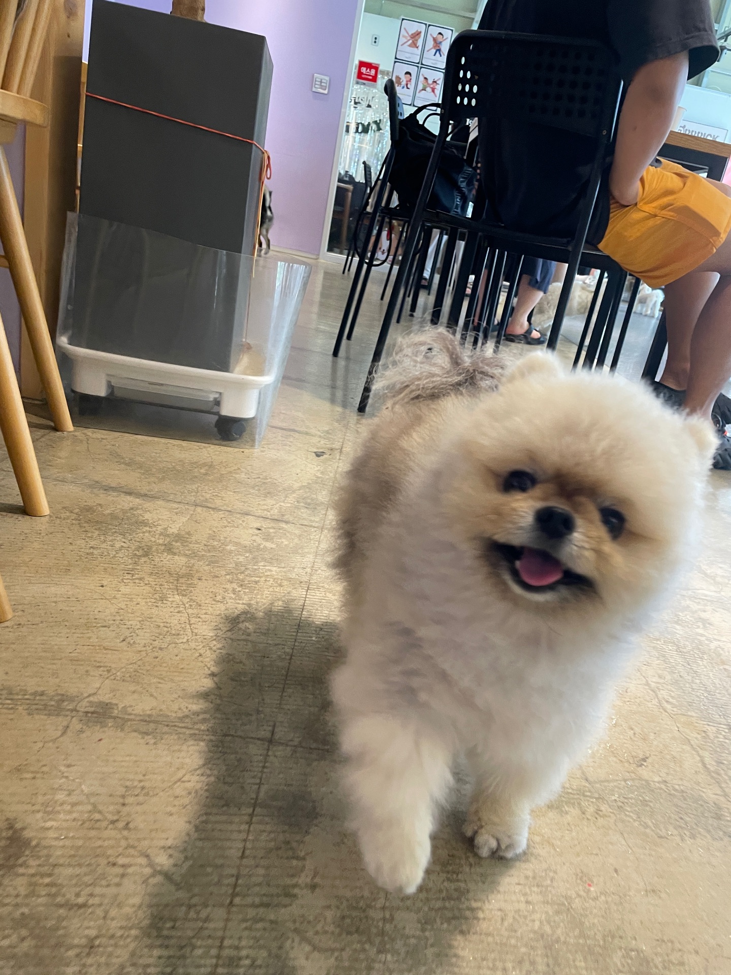 우동의 프로필 사진