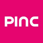 Pioneer Investcorp Limited