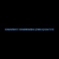 Saraswati Commercial India Limited