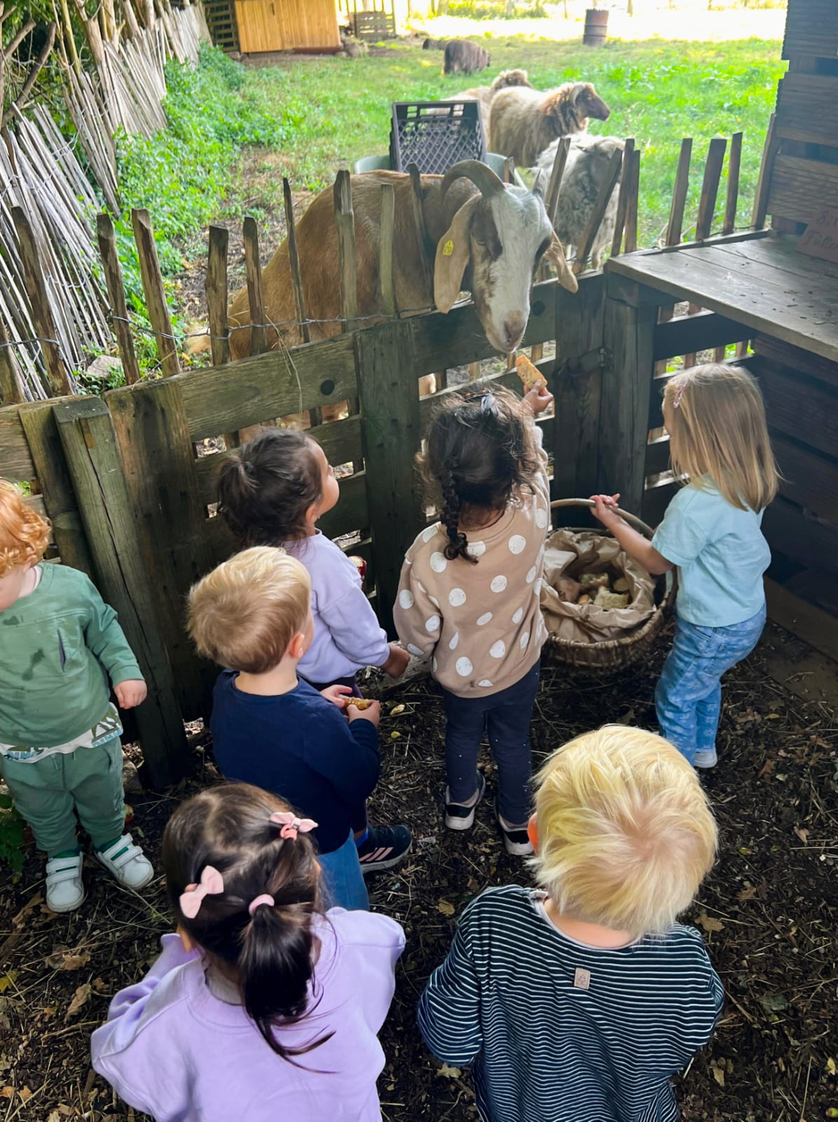 kita boenningstedt kinderbetreuung 3d22dc12