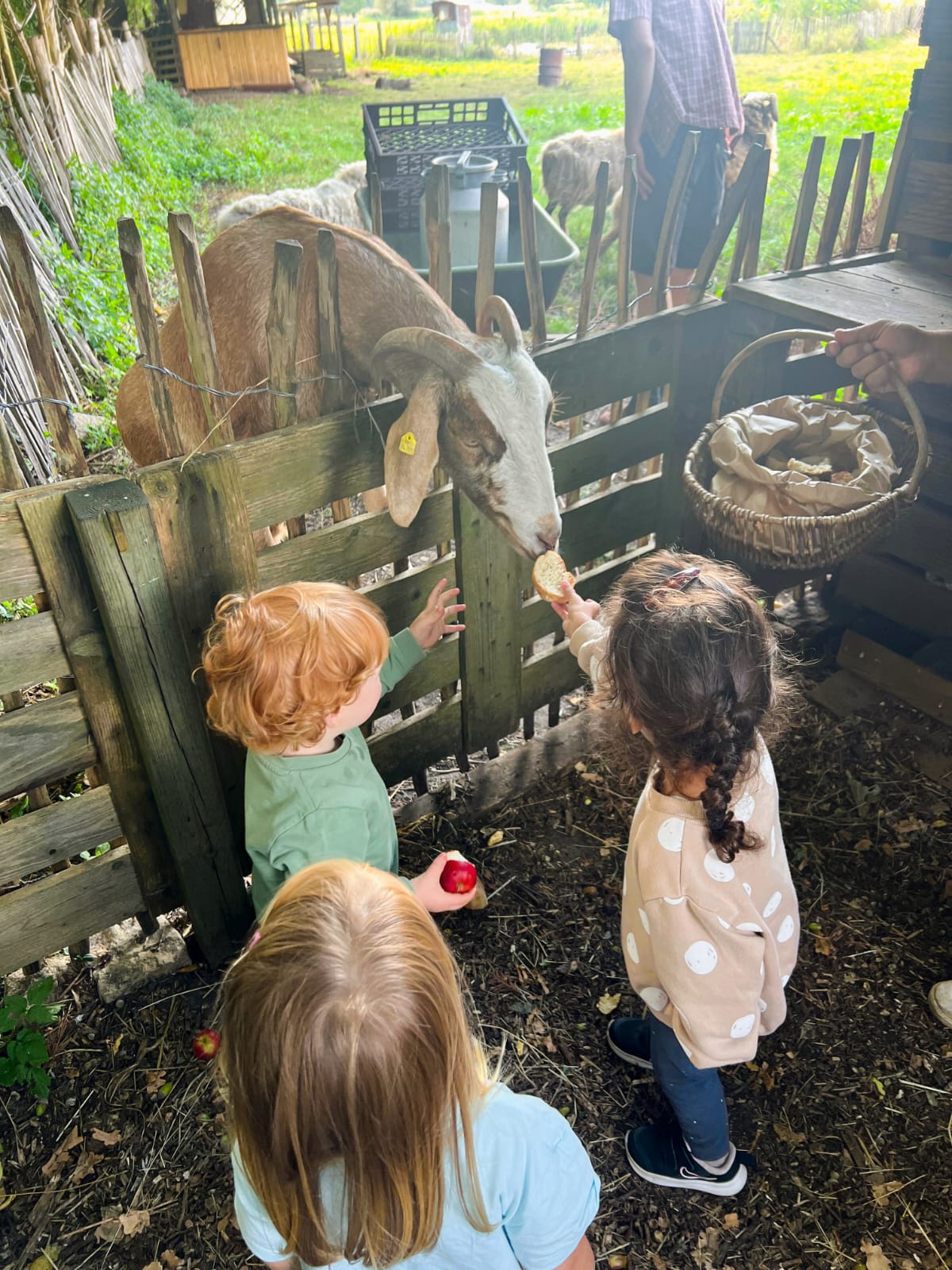 kita boenningstedt kinderbetreuung 543c6ccc