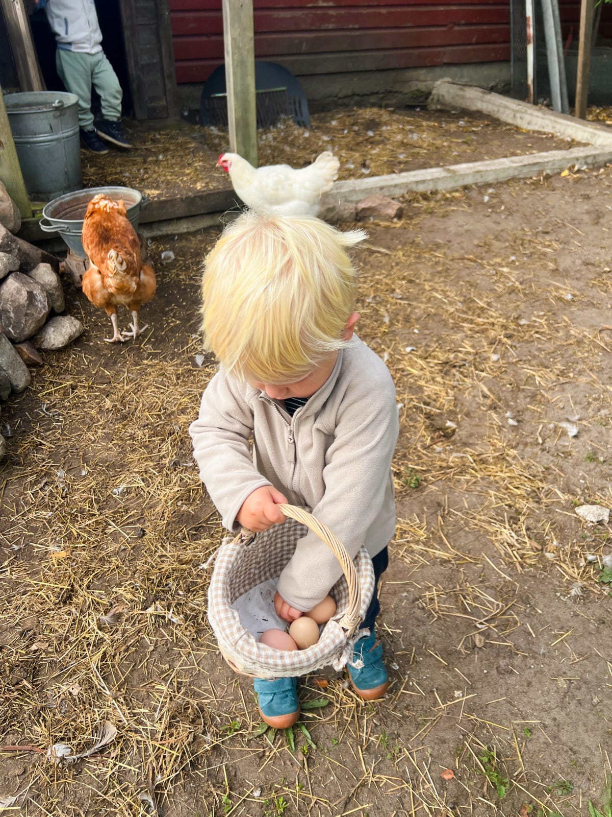 kita boenningstedt kinderbetreuung 5d643bf3