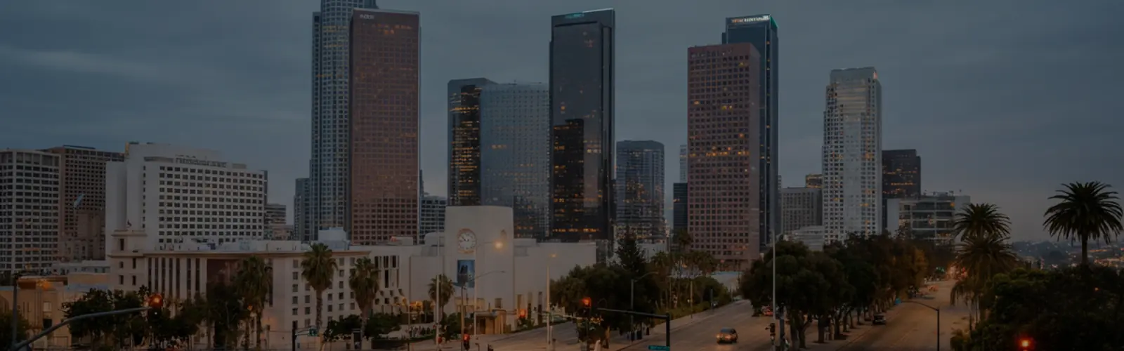 Citizen Feedback in Municipal Decisions