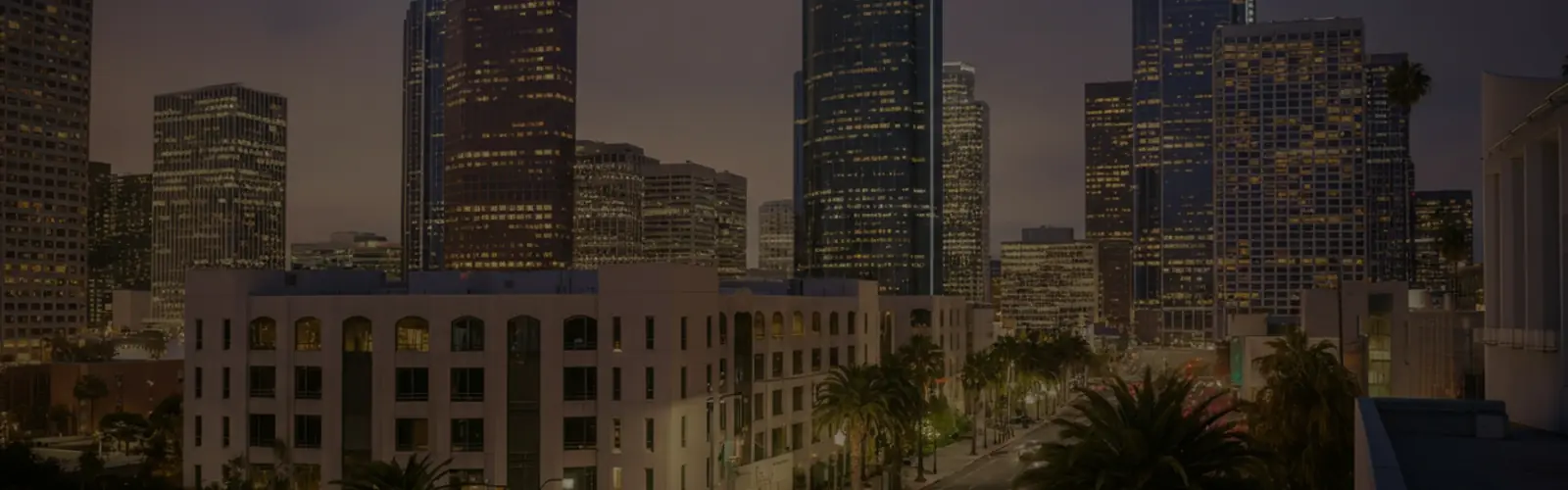 The Role of Cities in International Diplomacy