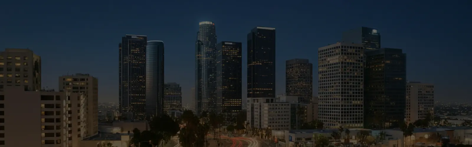 LAPD Budget Allocation and Priorities