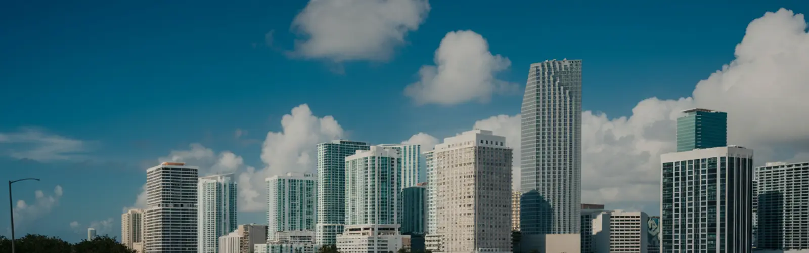 Political Priorities for Miami's Electorate