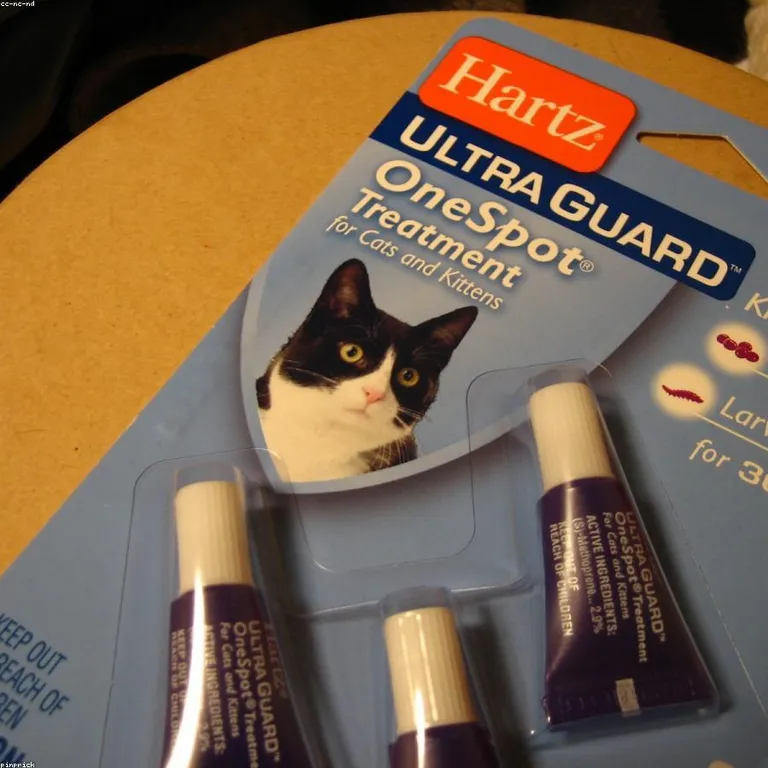 Antipulgas gato