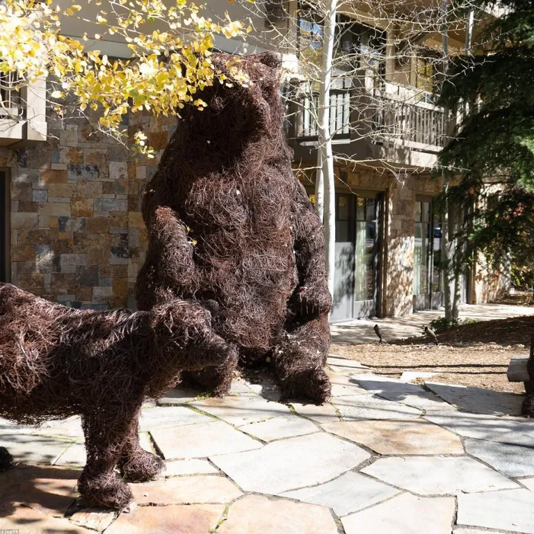 Concentrado cachorro