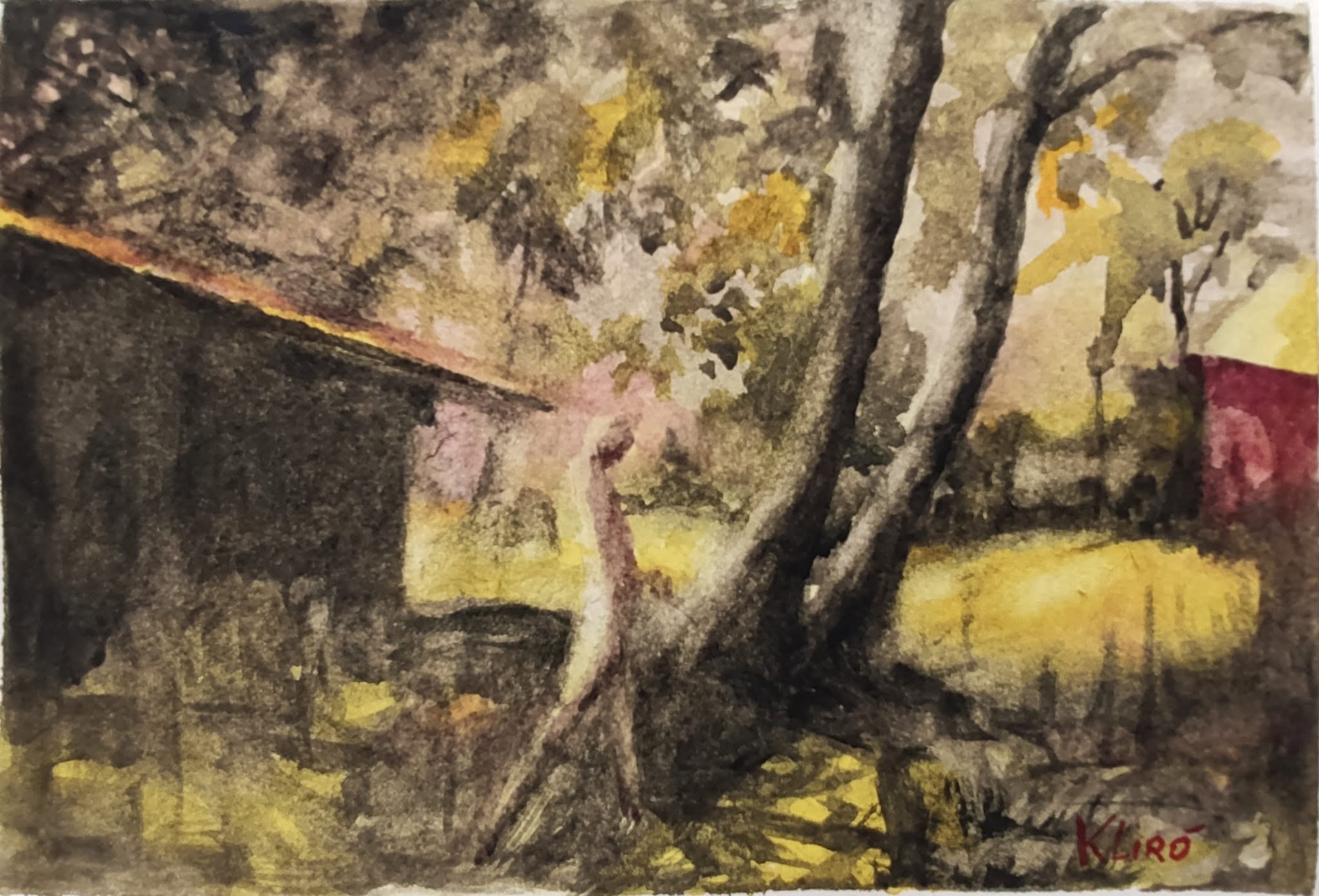 klirò acquerelli watercolor daniel smith art