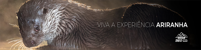 Imagem do Evento