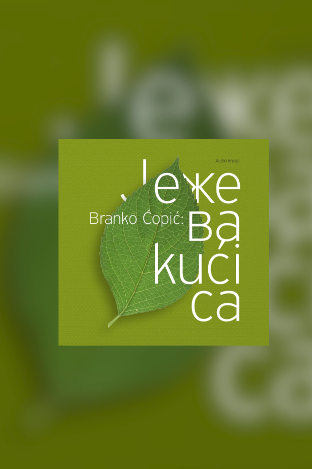 book-cover