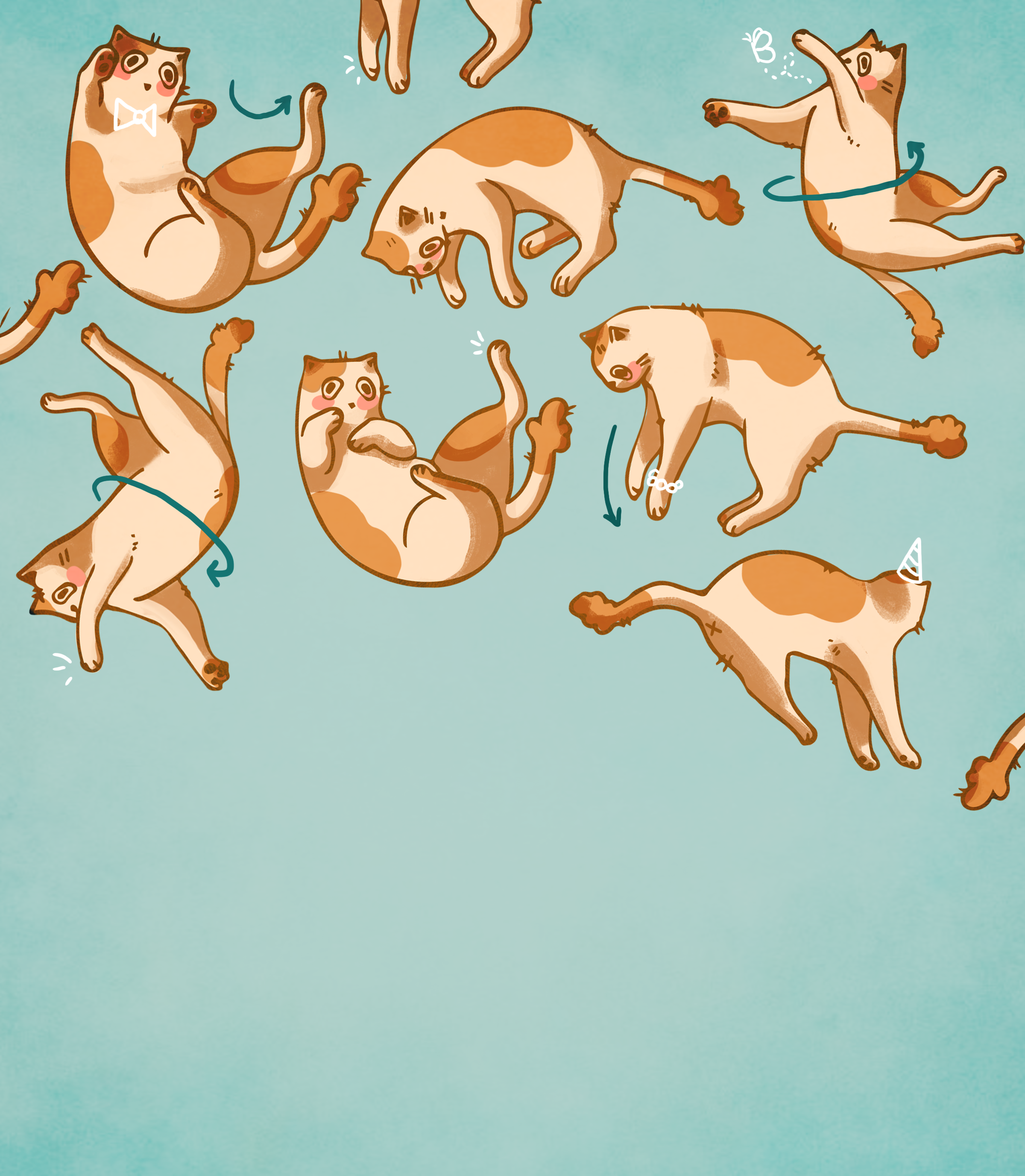 The Physics of Falling Cats | Learn Personal Development Visually | Imprint